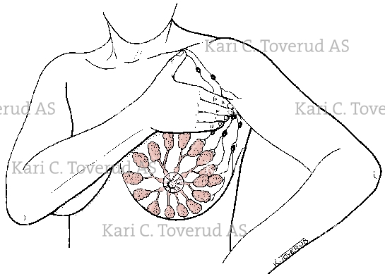 Breast exam, palpating axillary lymph nodes while standing